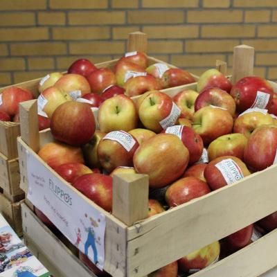 ... und die leckeren Äpfel vom Filippos Erlebnisgarten
