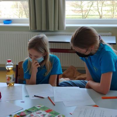 Herrendeichschule Nordstrand, Klasse 4